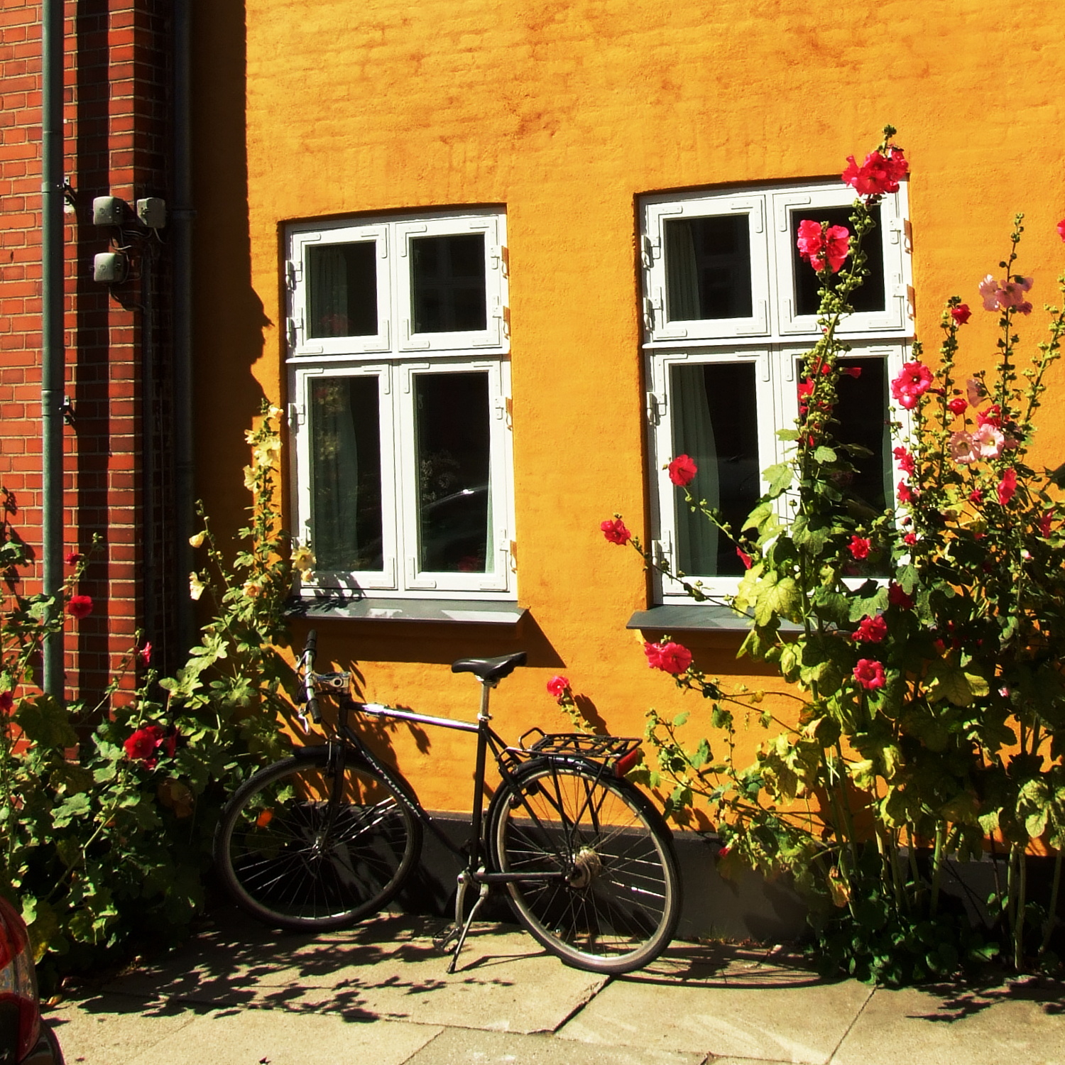 rower przed jednym z domów w Roskilde